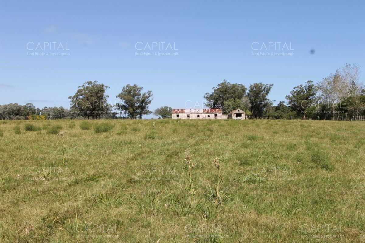 Chacra ID.36637 - Excepcional Chacra 12 HAS en Narbona