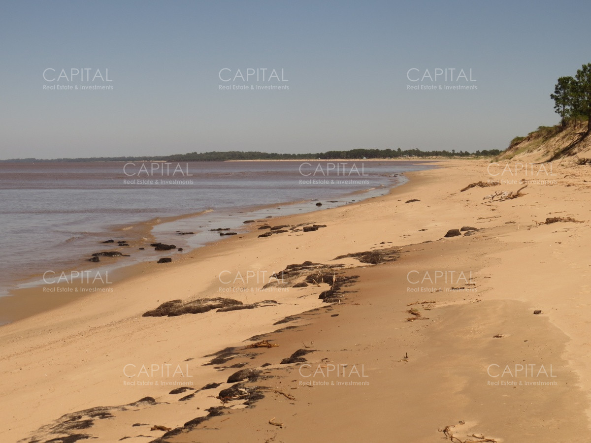 Chacra ID.29280 - Chacra con costa al Rio de La Plata