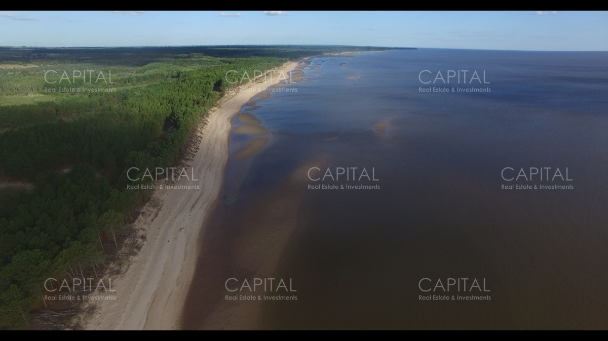 Chacra ID.29280 - Chacra con costa al Rio de La Plata