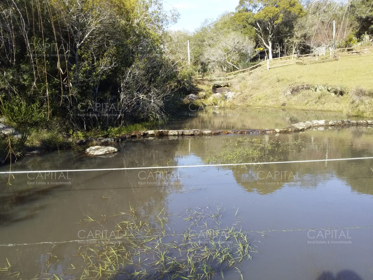 Chacra ID.31247 - Chacra en Ruta 39, en venta