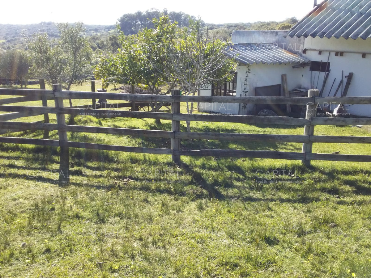 Chacra ID.31247 - Chacra en Ruta 39, en venta