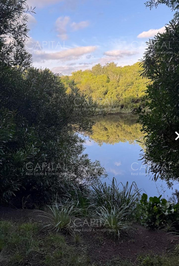Chacra ID.38785 - Chacras de 3 has Sierra de los Caracoles 