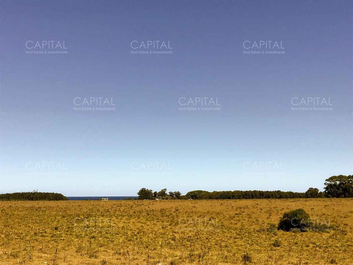 Chacra ID.29940 - Chacra en El Caracol - Garzon 108 Has, en venta