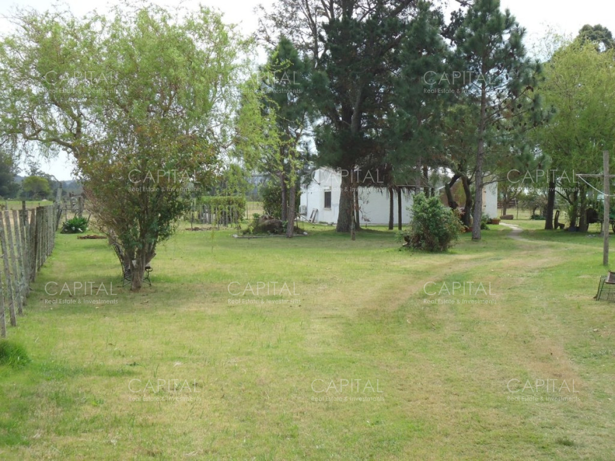 Chacra ID.27664 - Excelente Chacra en venta en zona de La Pataia