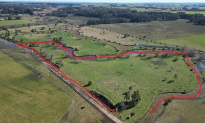 Chacra de 5 has próxima a ruta 104 próximo a MACA ,Pueblo Mío, NARBONA La Plantación