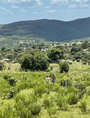 Chacra de 8 has - zona MATAOJO