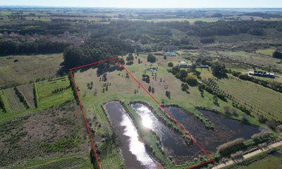 Chacra de 5 has sobre ruta 104 próximo a MACA ,Pueblo Mío, NARBONA La Plantación