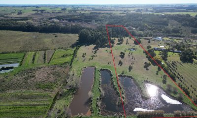 Chacra de 5 has sobre ruta 104 próximo a NARBONA La Plantación