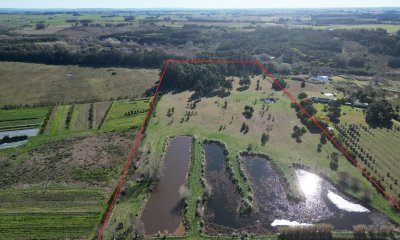 Chacra de 10 has próxima a ruta 104 próximo a MACA ,Pueblo Mío, NARBONA La Plantación