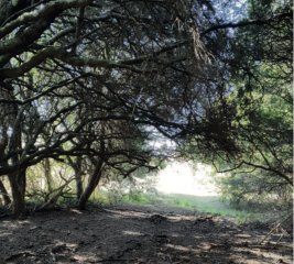 Chacra de 5has en zona hípica, a 6 km de Manantiales