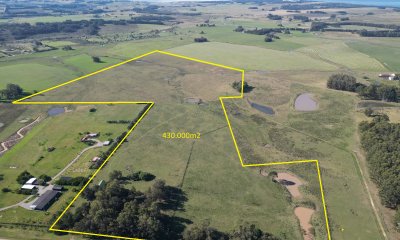 43 hectareas en Venta Ruta 104 Frente a MACA Atchugarry Pueblo Mio