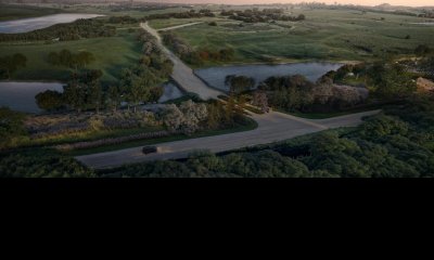 The Colette Farm lote 20