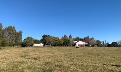 Chacra 5 has próxima a San Carlos