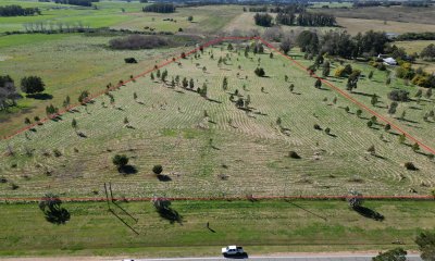 Chacra de 5 has sobre ruta 104 próximo Pueblo Mío, NARBONA La Plantación