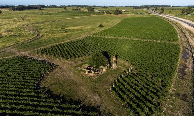 CHACRAS Vilaró