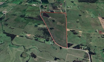 Tierra en Venta para Desarrollar Próximo a Fasano y El Quijote