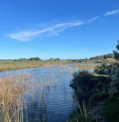 Chacra en Venta en Jose Ignacio