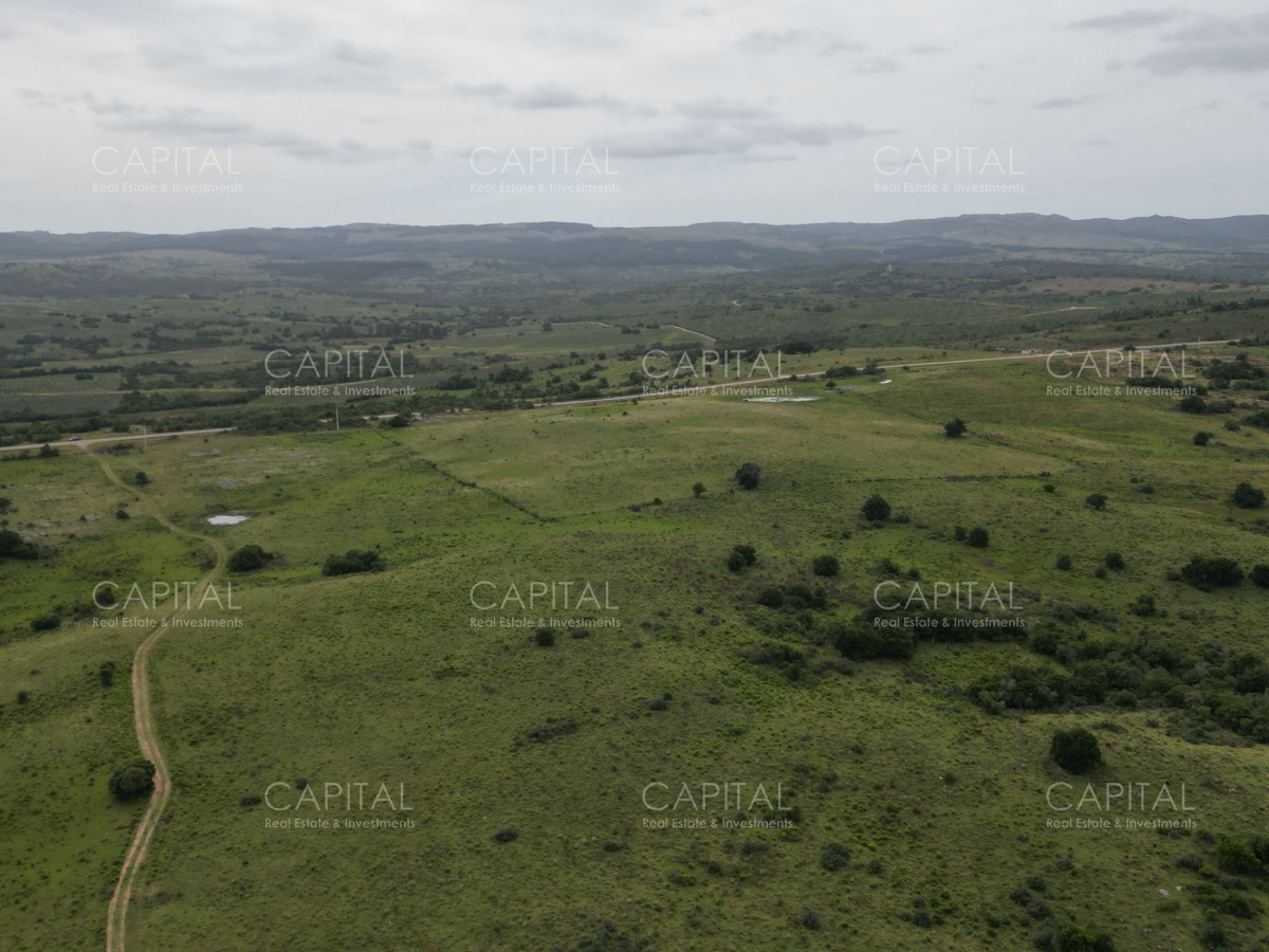 Campo Ref.37430 - CAMPO 65 has sobre ruta 39 