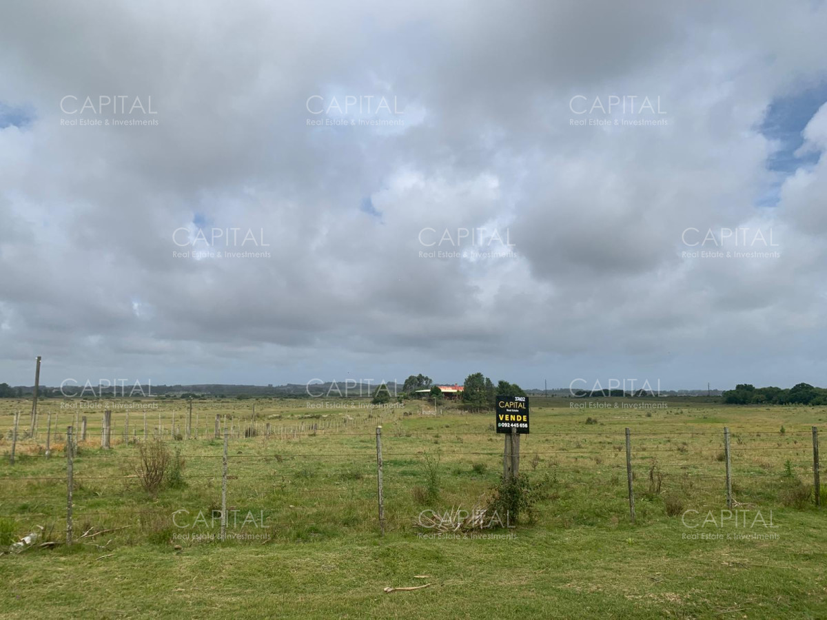CAMPO 41HAS CON CASA  a 15min. de Punta del Este  - CCP37402P