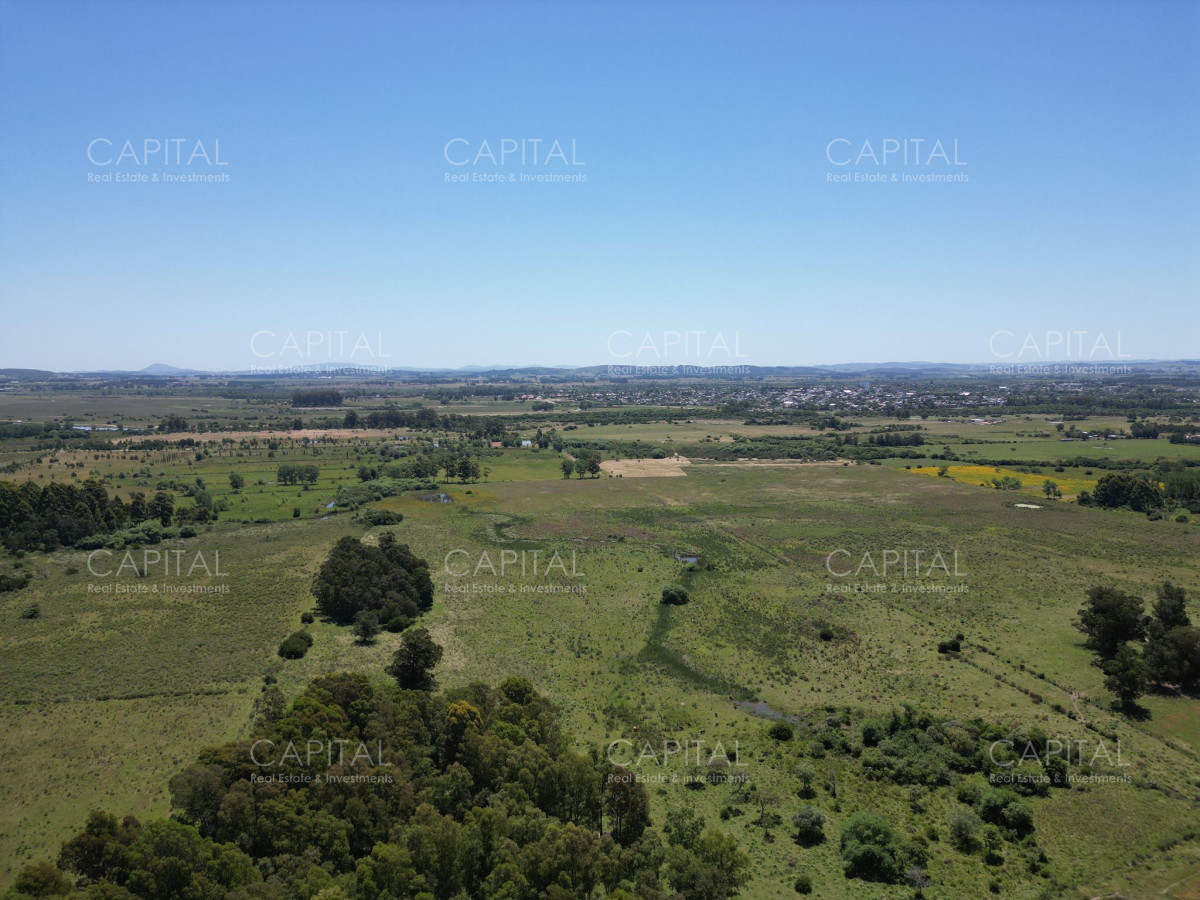 Campo  87 has  Ideal para fraccionamiento de chacras  - CCP37329P