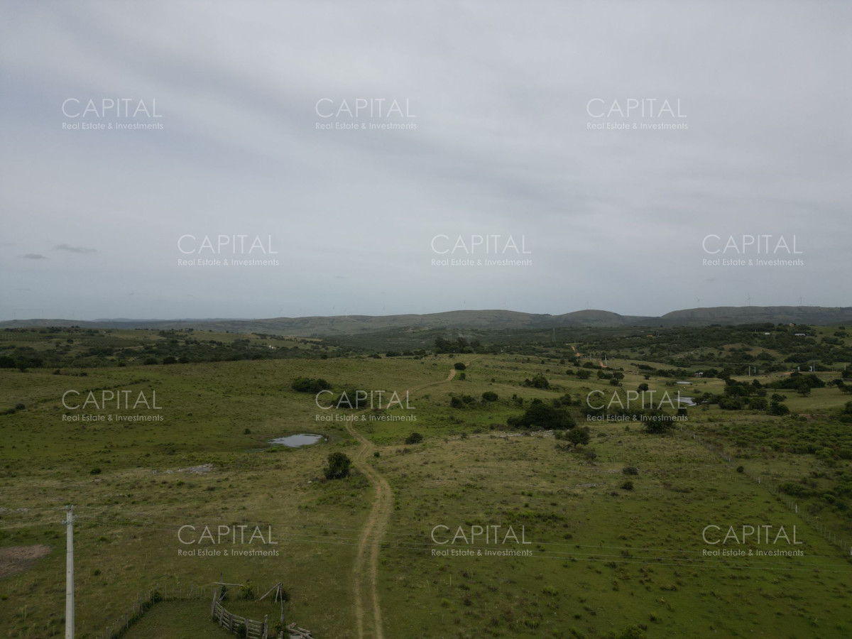 Campo Ref.37430 - CAMPO 65 has sobre ruta 39 