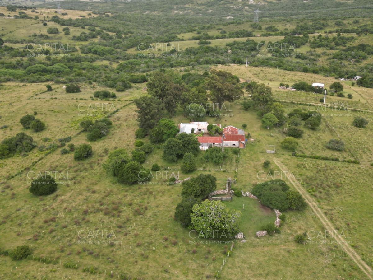 Campo Ref.37430 - CAMPO 65 has sobre ruta 39 
