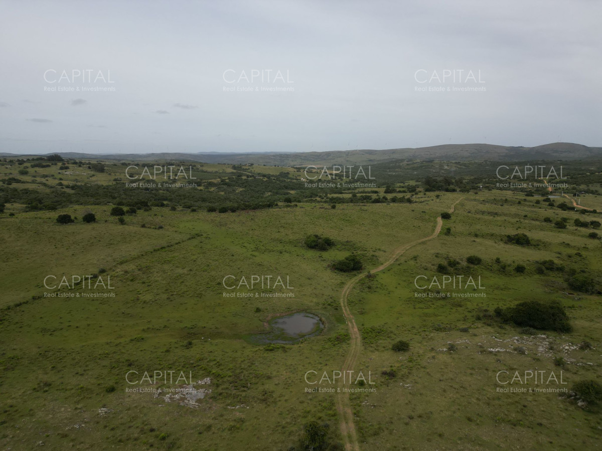 Campo Ref.37430 - CAMPO 65 has sobre ruta 39 