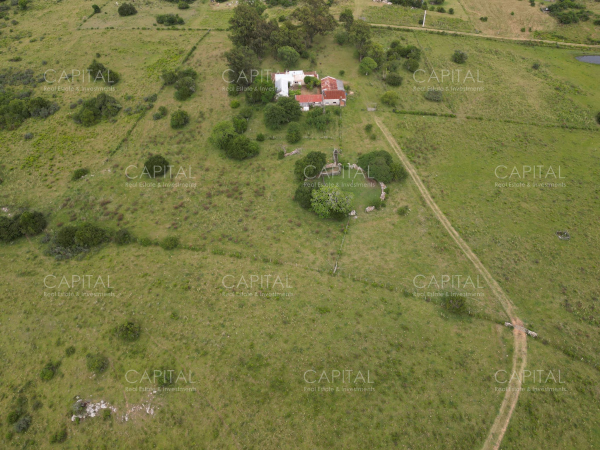 Campo Ref.37430 - CAMPO 65 has sobre ruta 39 