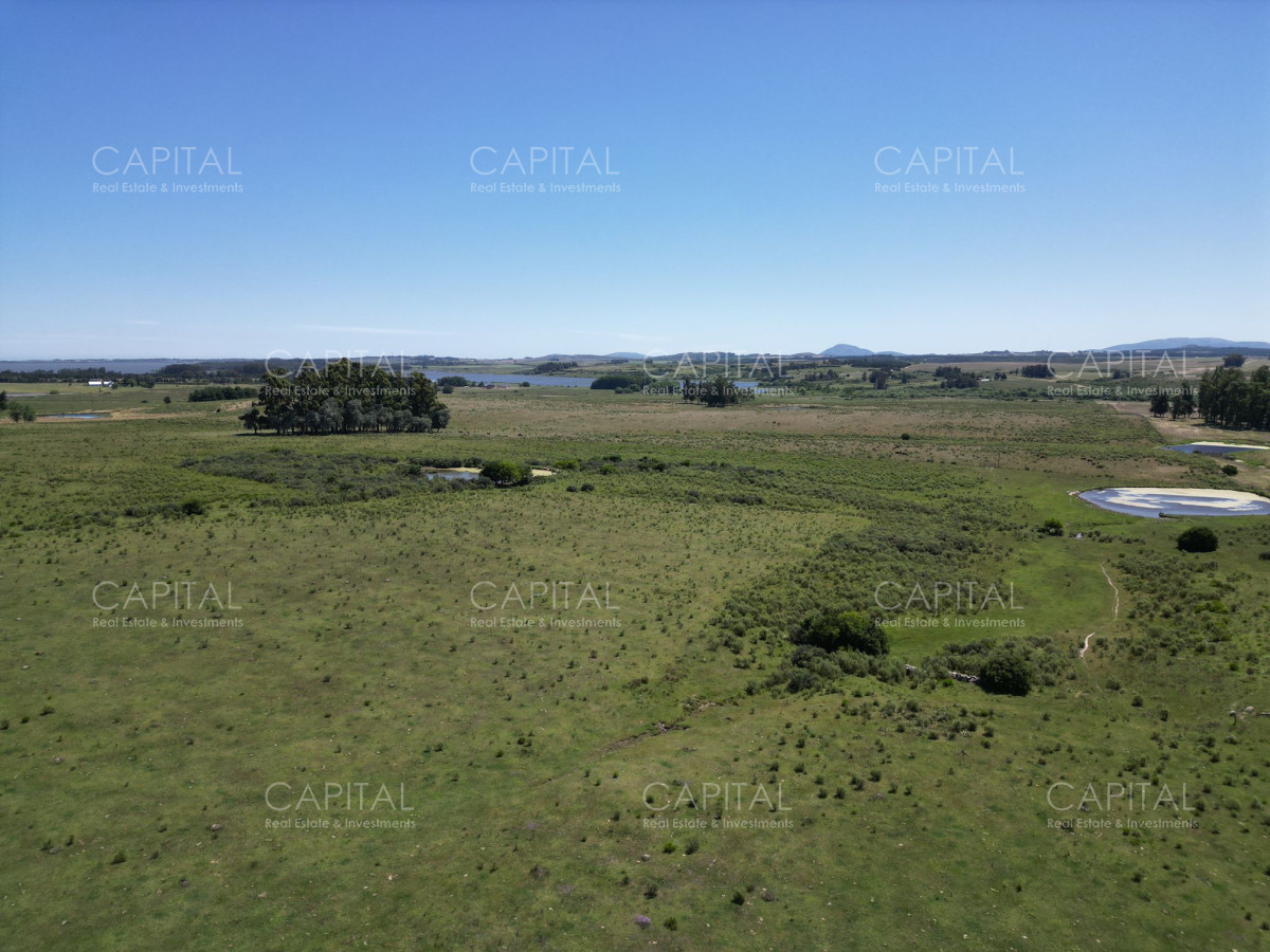 Campo Ref.37223 - Campo en venta en Laguna del Sauce, Punta del Este