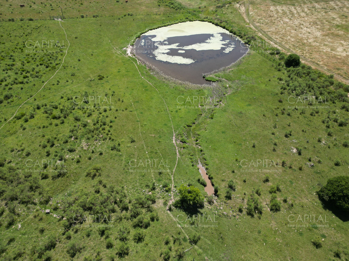 Campo Ref.37301 - ESPECTACULAR CAMPO DE 124 has . LAGUNA DEL SAUCE 