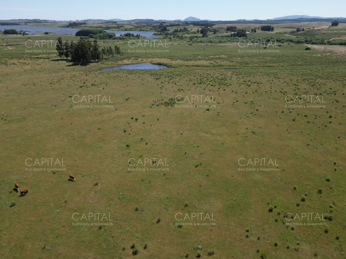 Campo Ref.37301 - ESPECTACULAR CAMPO DE 124 has . LAGUNA DEL SAUCE 