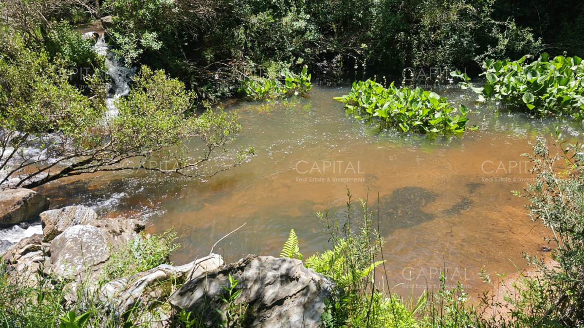 Campo Ref.38588 - OPORTUNIDAD Campo criador 370 Has - Treinta y Tres 