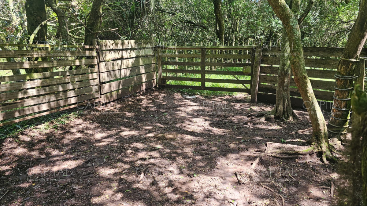 Campo Ref.38588 - OPORTUNIDAD Campo criador 370 Has - Treinta y Tres 