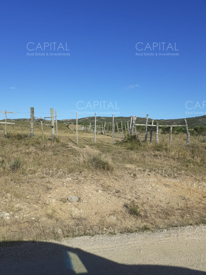 Campo Ref.33123 - Campo ganadero a 20km de San Carlos