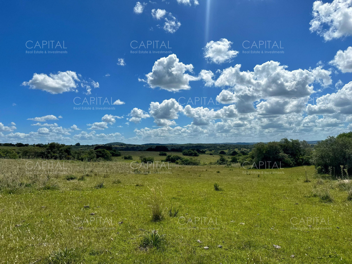 Campo Ref.38259 - CAMPO 55 has próximo a Aiguá