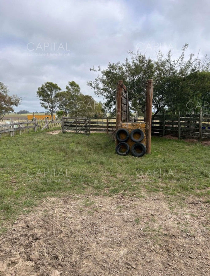 Campo Ref.37314 - Venta Campo Sarandí Grande Florida