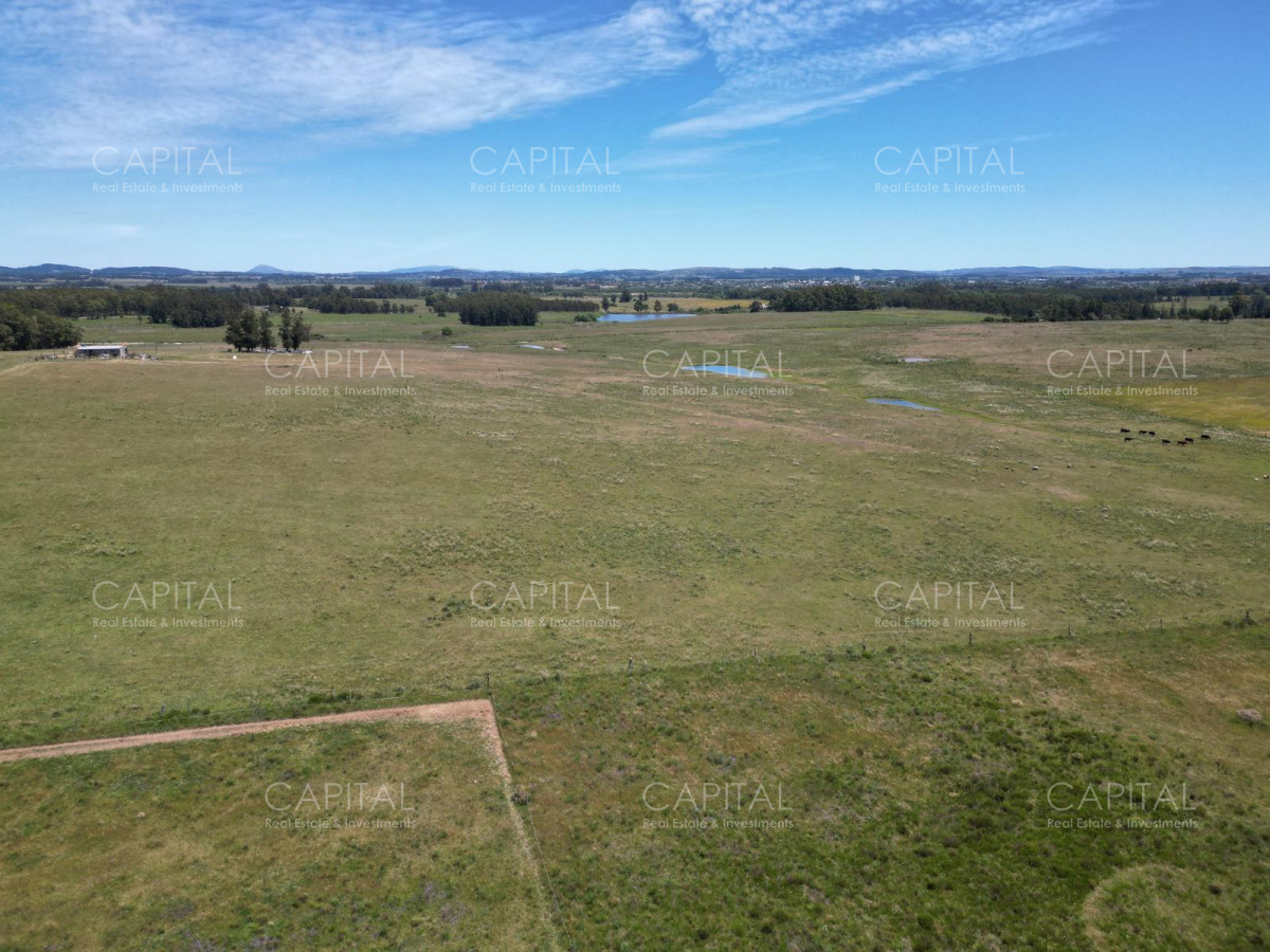 Campo Ref.37183 - Campo 23 has Eguzquiza