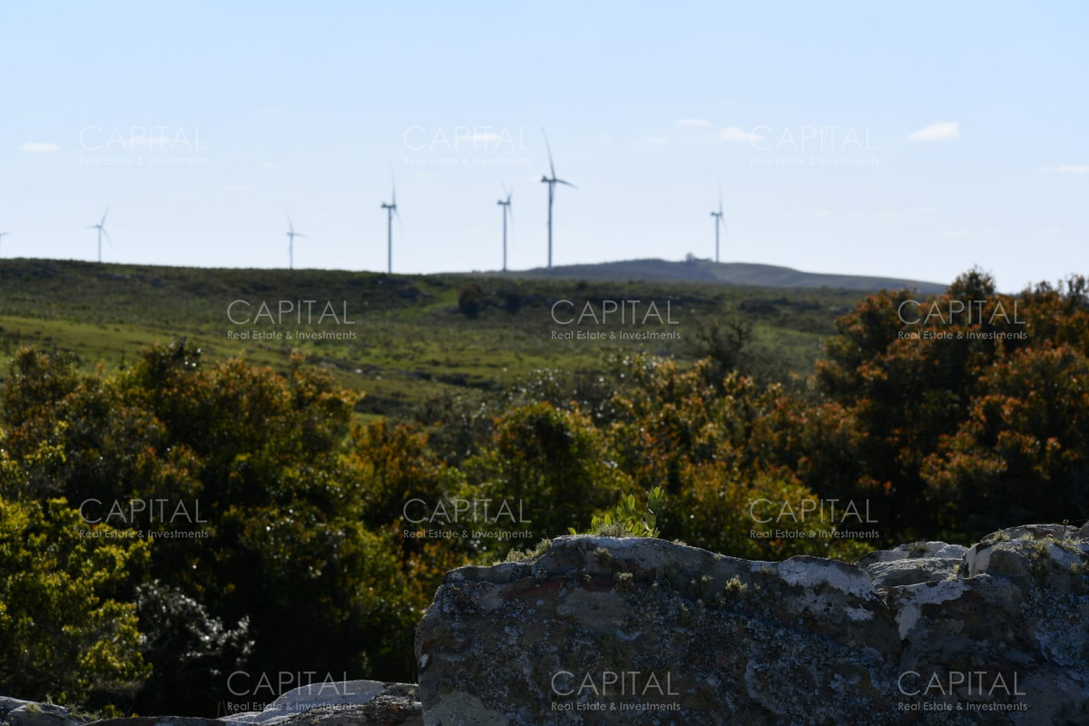 Campo Ref.37865 - Campo 78has. ganadero-turístico Ruta 60