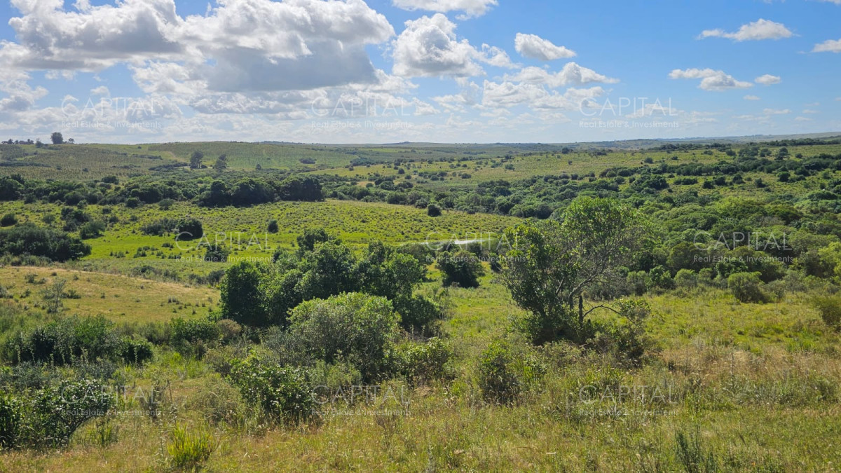 Campo Ref.38588 - OPORTUNIDAD Campo criador 370 Has - Treinta y Tres 