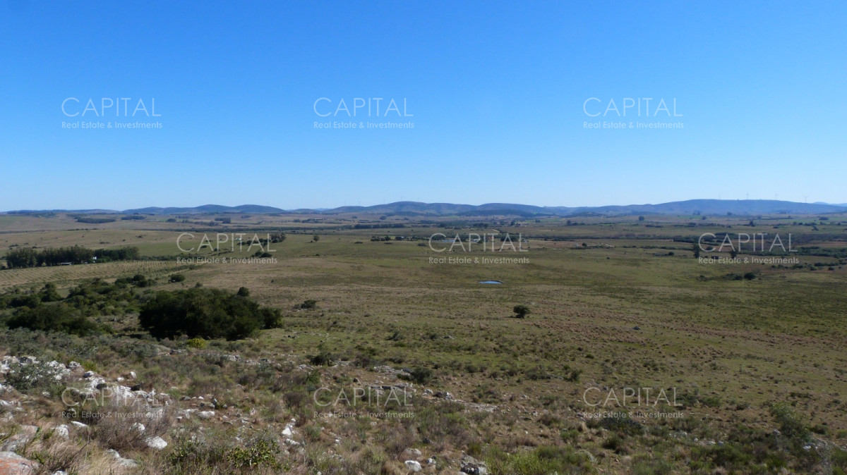 Campo Ref.33123 - Campo ganadero a 20km de San Carlos