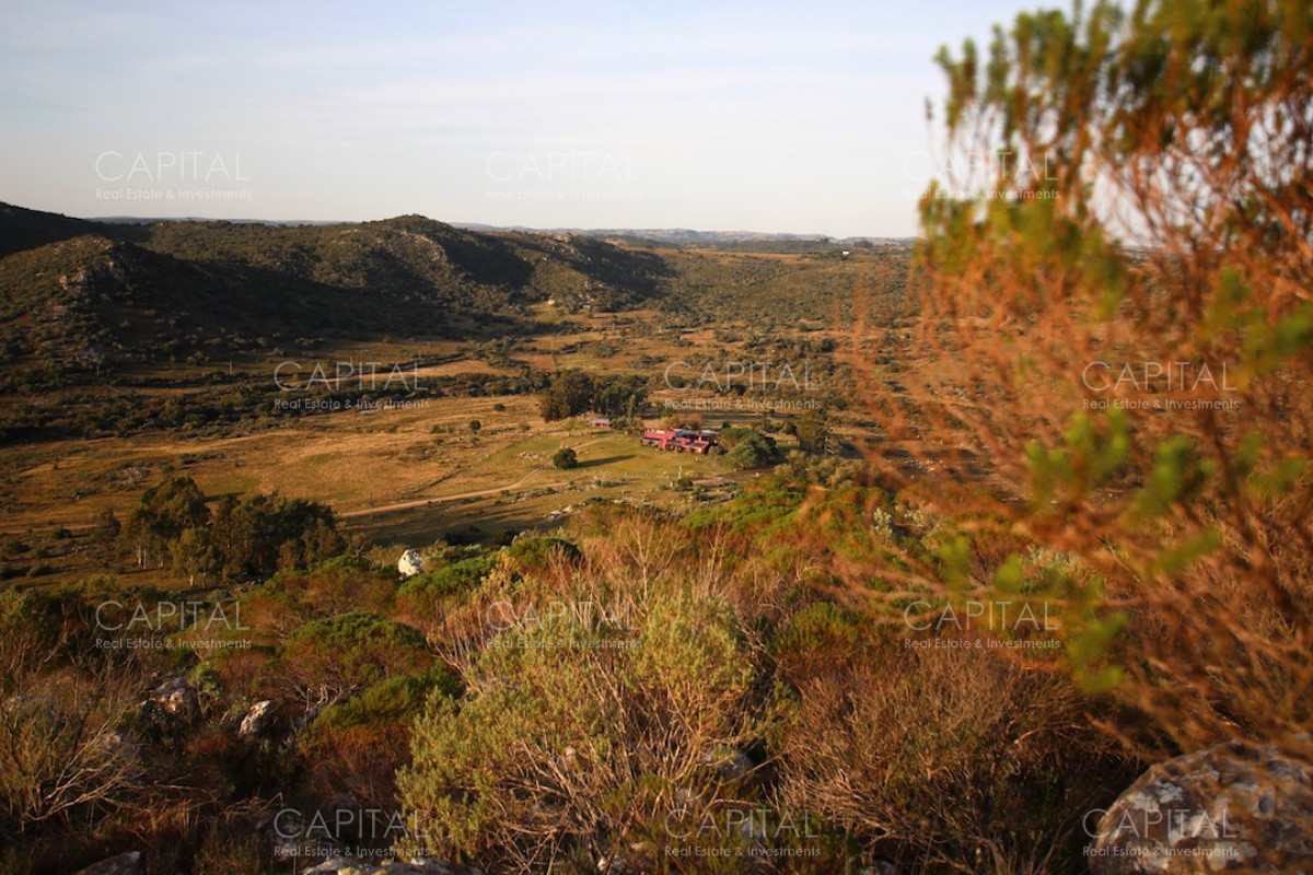 Campo Ref.37919 - Pintoresco Campo en venta con ubicación y entorno privilegiado