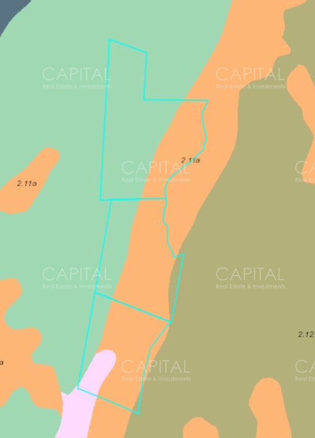 Campo Ref.38588 - OPORTUNIDAD Campo criador 370 Has - Treinta y Tres 