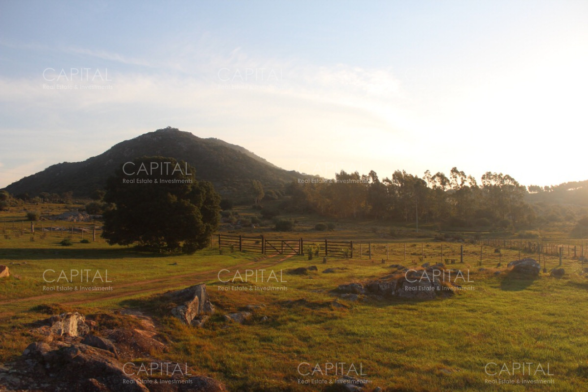 Campo Ref.37919 - Pintoresco Campo en venta con ubicación y entorno privilegiado