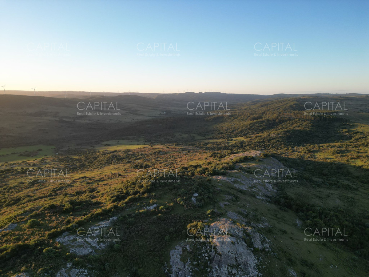 Campo Ref.36720 - Pintoresco Campo 55 Has - Sierra de los Caracoles 
