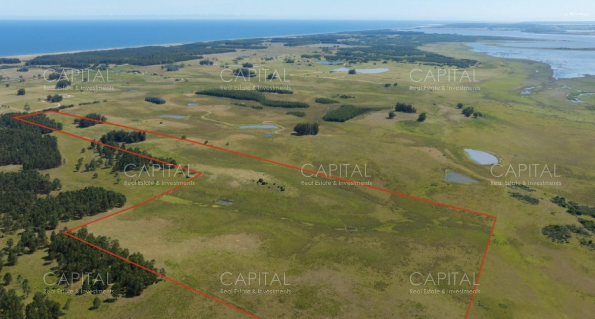 Campo Ref.37330 - Campo 23 has con vista a la laguna Garzón