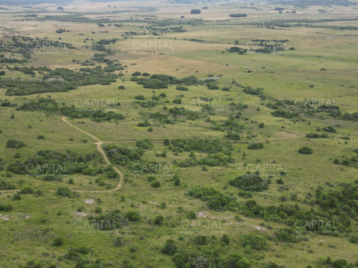 OPOTUNIDAD CAMPO 150 HAS costas del Aiguá  - CCP37783P