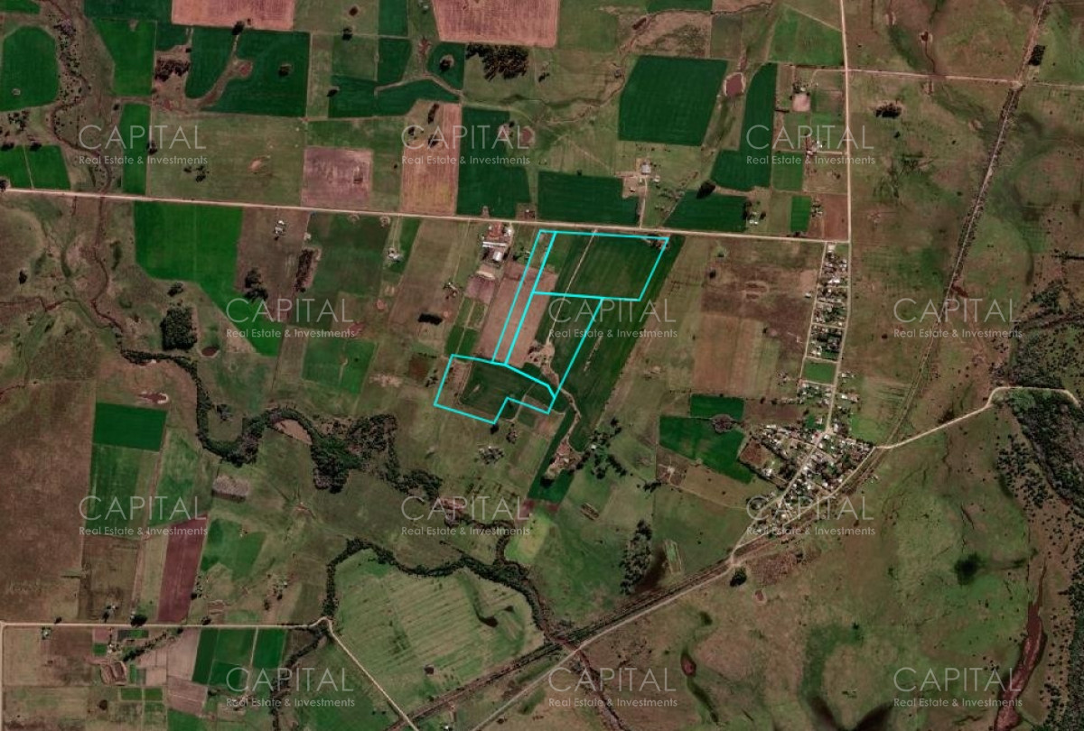 Campo Ref.37245 - Campo agrícola Canelones