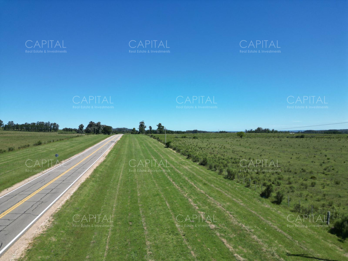 Campo Ref.37301 - ESPECTACULAR CAMPO DE 124 has . LAGUNA DEL SAUCE 