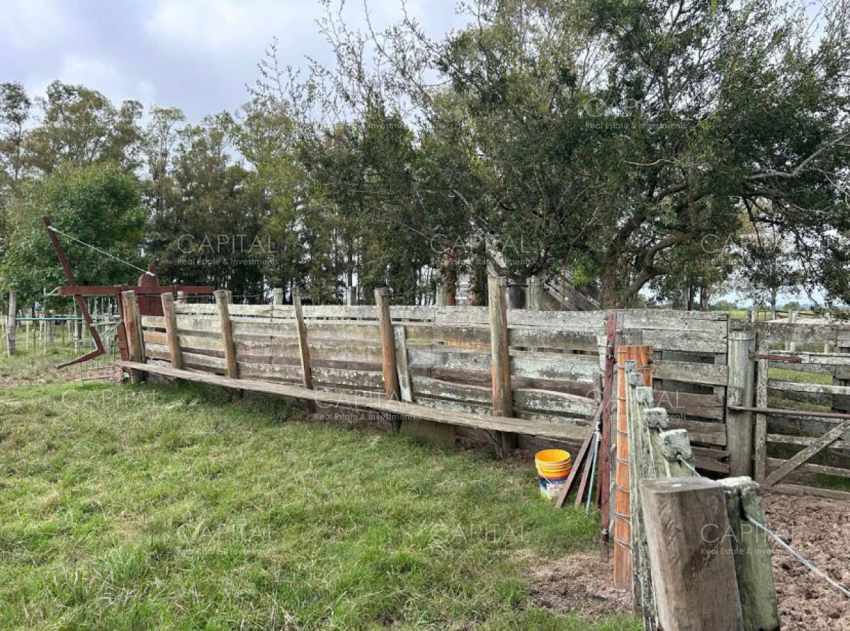 Campo Ref.37314 - Venta Campo Sarandí Grande Florida
