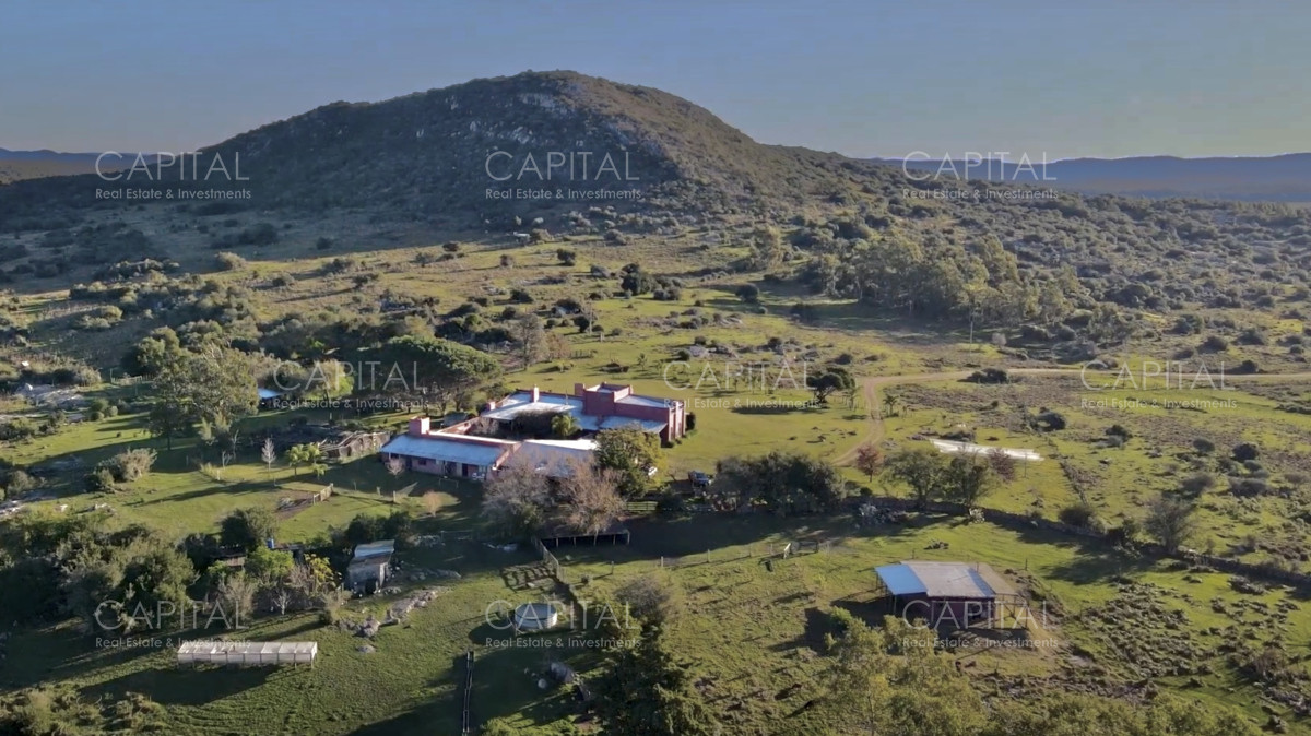 Campo Ref.37919 - Pintoresco Campo en venta con ubicación y entorno privilegiado